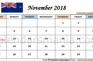 November 2018 Calendar NZ