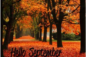 Hello September Photos
