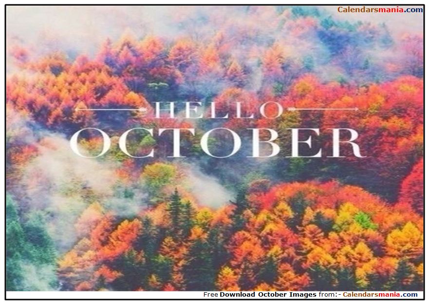 Hello October Photos