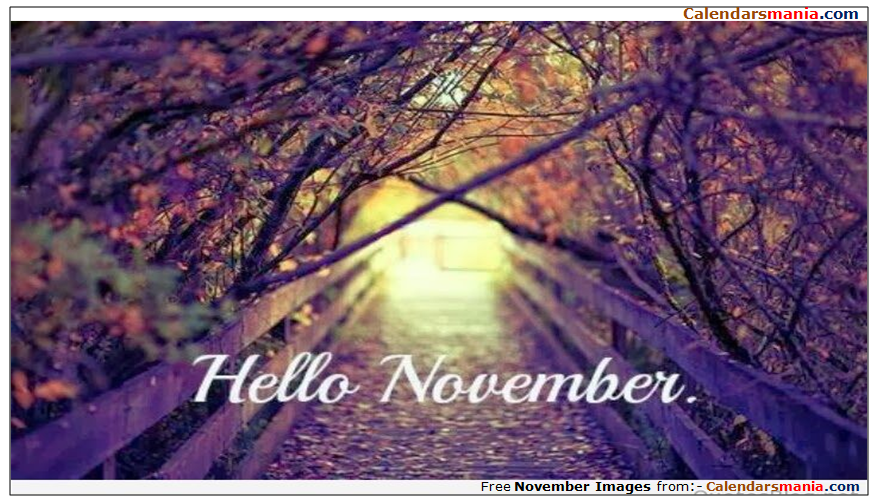 Hello November Images Tumblr
