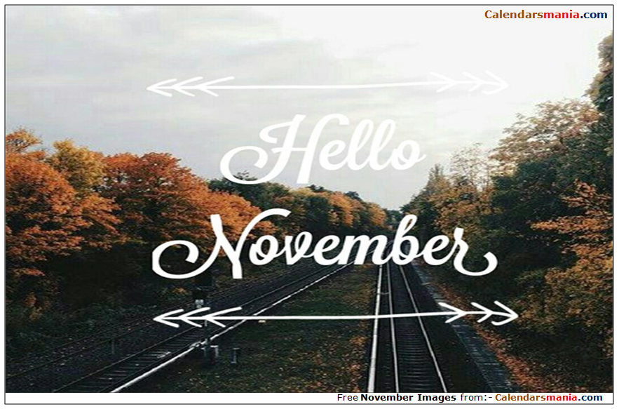 Hello November Tumblr
