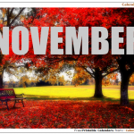 November Photos
