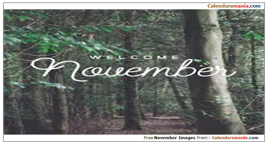 Welcome November Pictures
