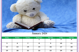 Cute 2020 Monthly Calendar Template