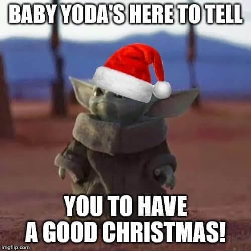 dog merry christmas memes