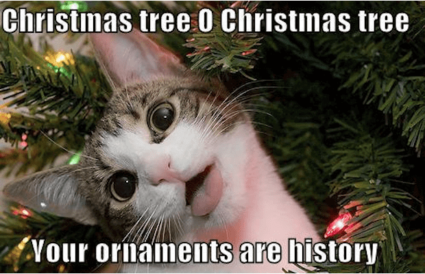 free merry christmas memes